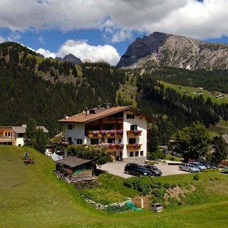Villa Insam Apartment Sëlva Buitenkant foto